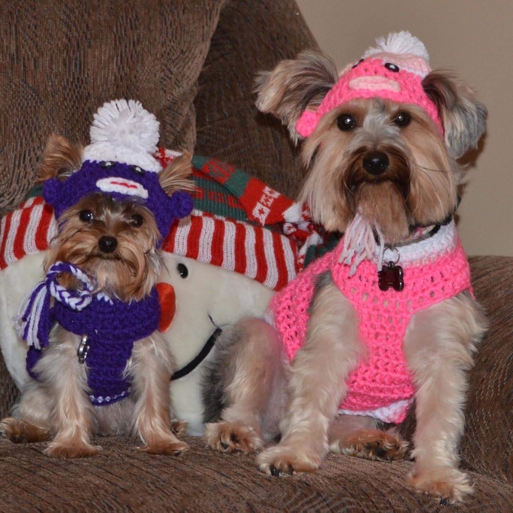 Lot of 2 Dog hats. Hats for small dogs. Sock monkey theme. Hand Made.